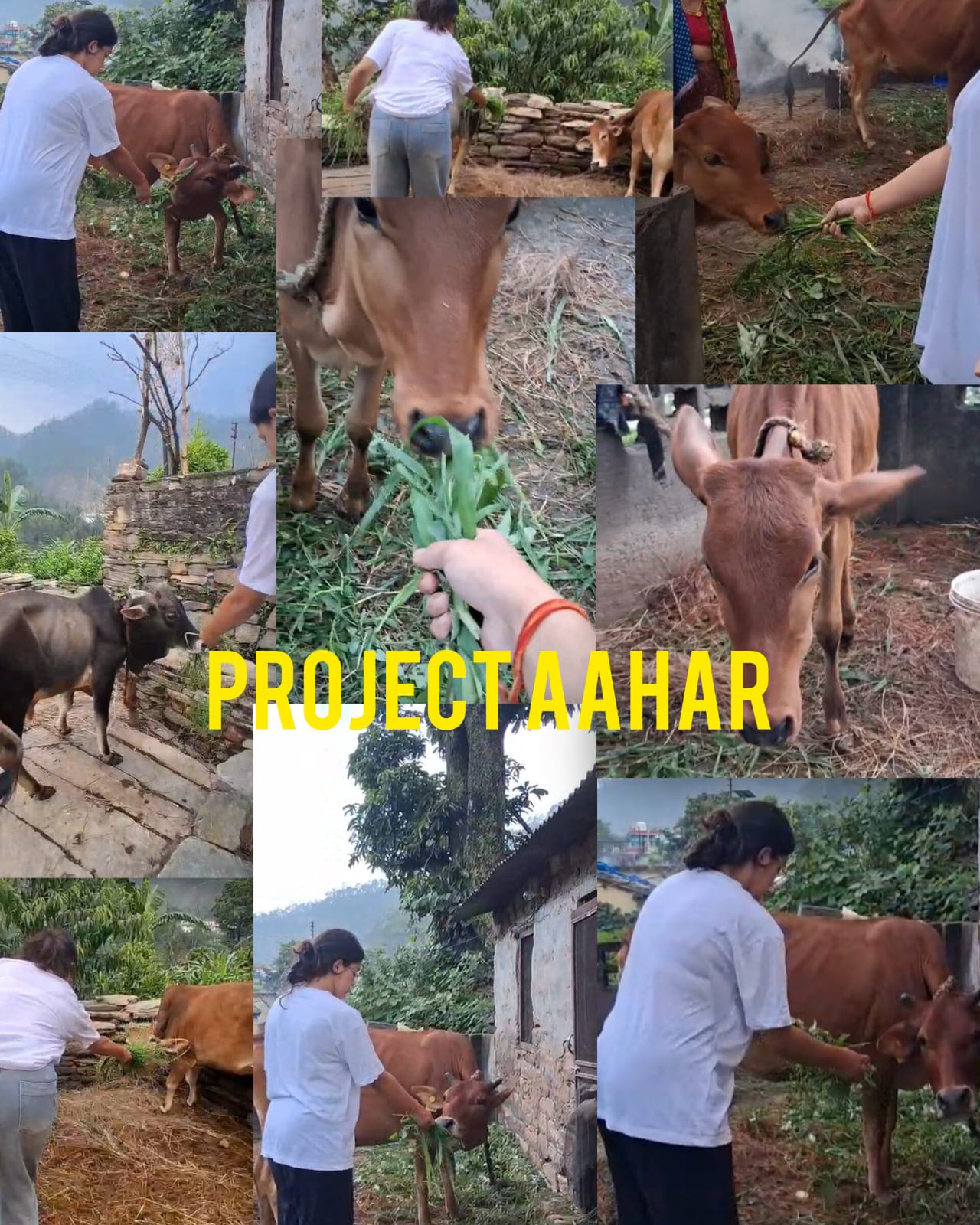 Seva Satkar Foundation
